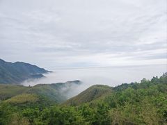 -江南天池