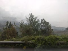 -万县面馆(高笋塘店)