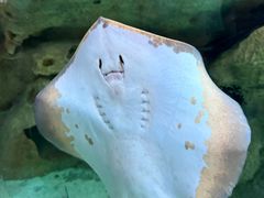 -珠海长隆海洋王国