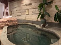 -天目湖涵田半山温泉