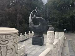 -东湖落雁景区