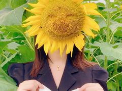 -奥林匹克森林公园北园-停车场