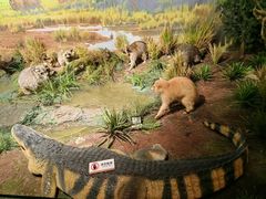 -陕西自然博物馆