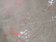 -新沸腾鱼乡(世贸天阶店)