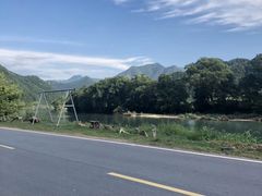 -祁门牯牛降观音堂风景区