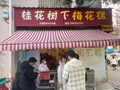 -花园菜市场