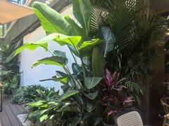 -春暖花开(西溪店)