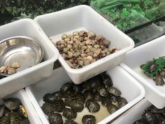 -中环花鸟鱼虫市场