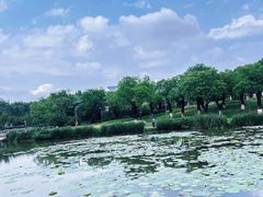-西安世博园