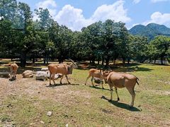 -西安秦岭野生动物园