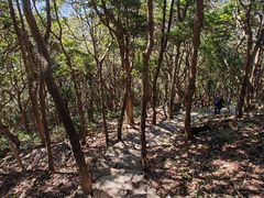 -梧桐山风景名胜区