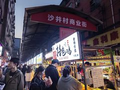 -沙井村