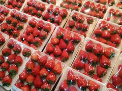 -果蔬好生活超市(乐堤港店)