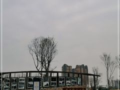 -府河摄影公园