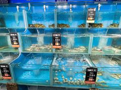 -海味当家·蒸锅海鲜(星海公园店)
