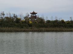 -南大港湿地风景区