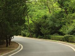 -棒棰岛宾馆景区