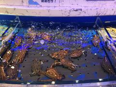 螃蟹-澜悦港海鲜体验主题餐厅