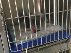 -康乐宝动物医院