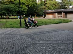 -井之头恩赐公园