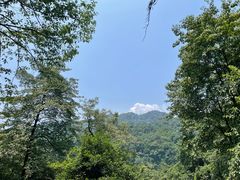 -青城山