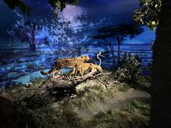 -国家自然博物馆