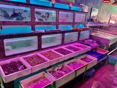水产区-长平肥姐白粥·海鲜打冷