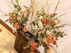 -上海康奥医疗美容医院