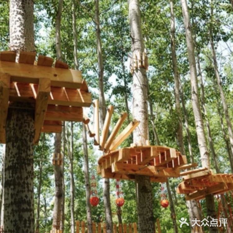 来与自然约会吧🌿