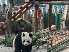 -大连森林动物园