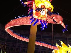 -锦江乐园舞狸花花游园会(夜场专享)