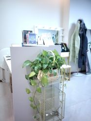 -演员的秘密·皮肤管理