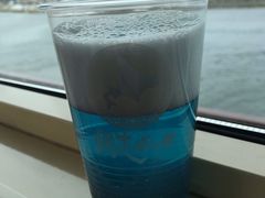 -网走流冰观光破冰船极光号