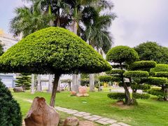 -石炮台公园