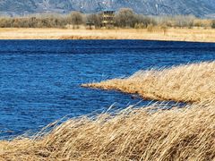 -野鸭湖国家湿地公园