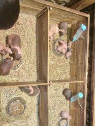 -酷嗒动物文化乐园(cutezoo西溪乐天城店)