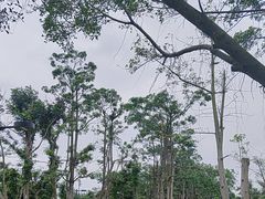 -白沙门生态公园
