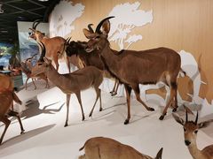 -陕西自然博物馆