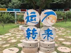 -十渡东湖港风景区