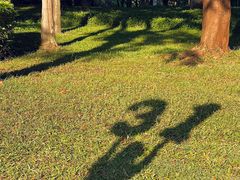 -荔香公园
