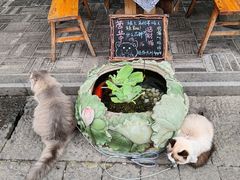 -郑三炮名小吃(公馆老街店)