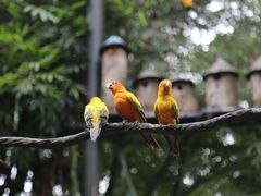 -广州长隆野生动物世界