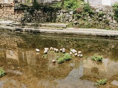 -呈坎景区