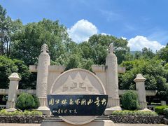 -大奇山国家森林公园