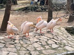 -黔灵山公园