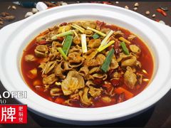 红烧肥肠煲-火胖子肥肠煲·始于1998(南山村店)