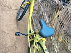 -苏氏牛肉面(丰北桥店)