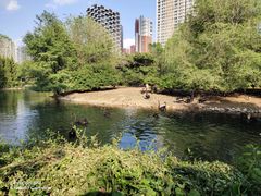 -长白岛森林公园