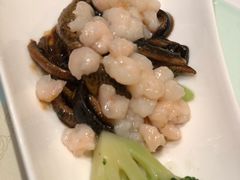 虾仁软兜-金陵饭店·梅苑