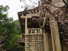 -草庵摩尼教遗址公园